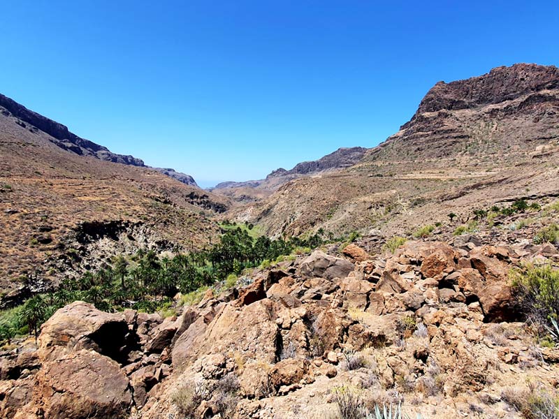 Gran Canaria schönste Orte: Bergdorf Fataga im Tal der Tausend Palmen