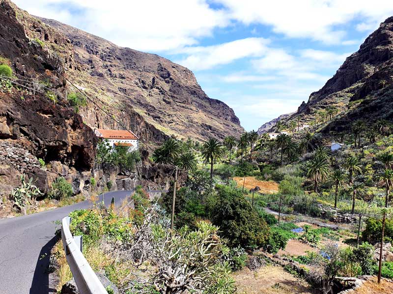 Autofahren auf La Gomera Tipps: Schmale Strasse in einem mit Palmen gesäumten Barranco auf La Gomera