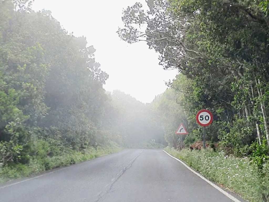 Autofahren La Gomera Tipps: Gut ausgebaute Strasse durch den Nebelwald im Garajonay Nationalpark. Der Nebel kann die Sicht oftmals stark einschränken.