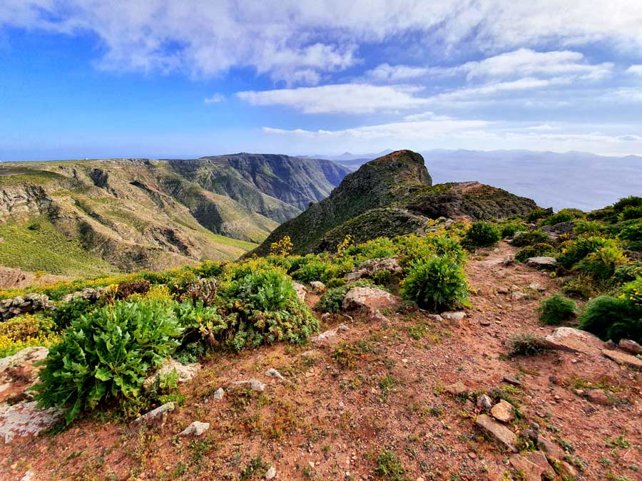 Lanzarote Aktivitäten & Ausflüge Tipps: Wandern auf Lanzarote im grünen Norden im Winter