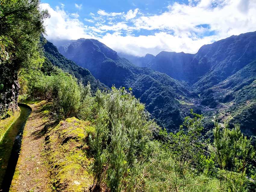 Madeira im Winter Erfahrungen: Klima & Tipps für Madeira im Winter - das erwartet euch