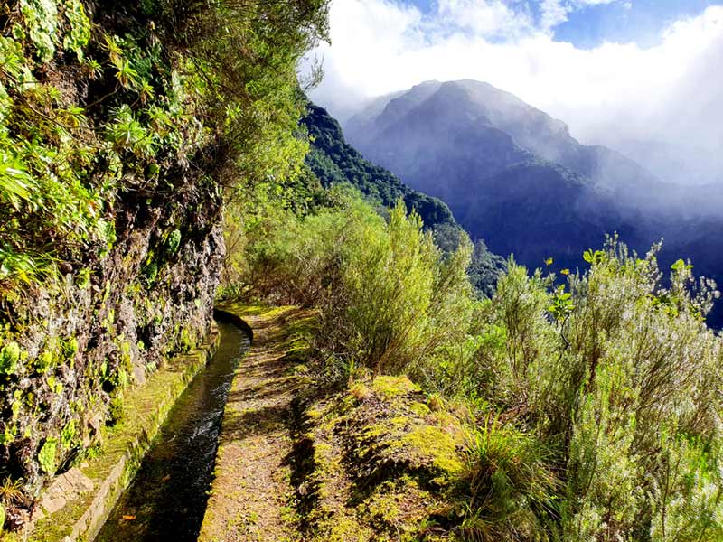 Madeira im Winter Klima Erfahrungen: Levada Wanderung bei Sonnenschein mit Regen im Hintergrund