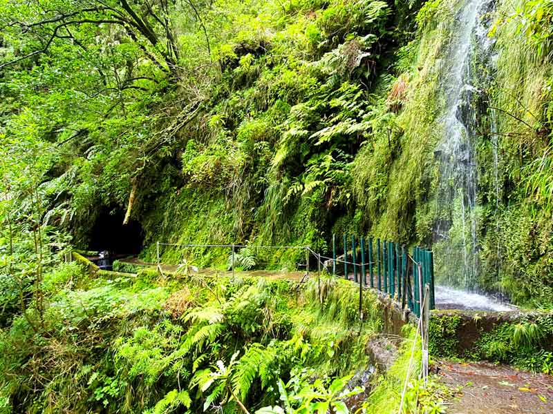 Madeira im Winter Erfahrungen & Tipps: Levada Wanderung mit Wasserfall, der im Winter auf den Weg plätschert