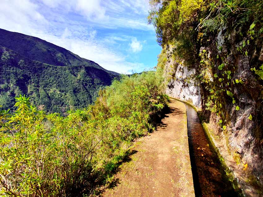 Madeira im Winter Erfahrungen & Tipps: Levada Wanderung bei Sonnenschein