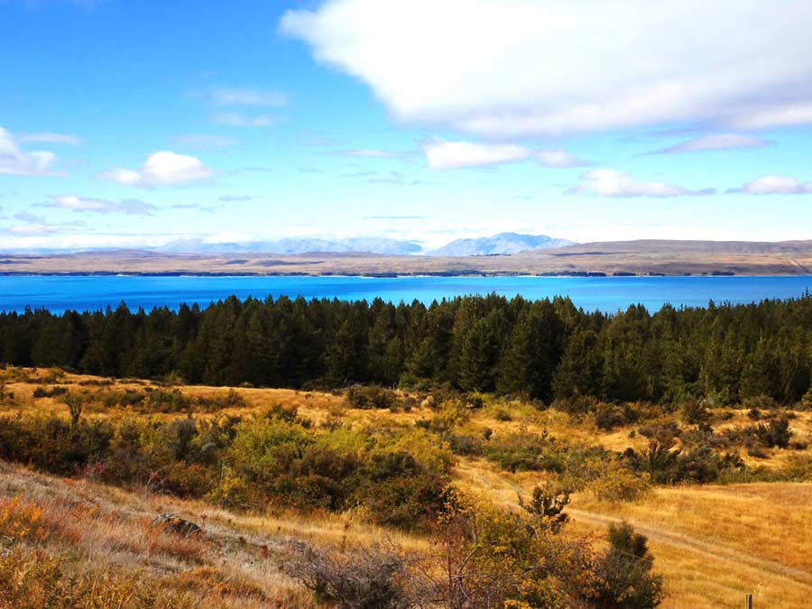 Lake Pukaki Sehenswürdigkeiten: Der erste Blick auf den Lake Pukaki vom Westufer, Neuseeland