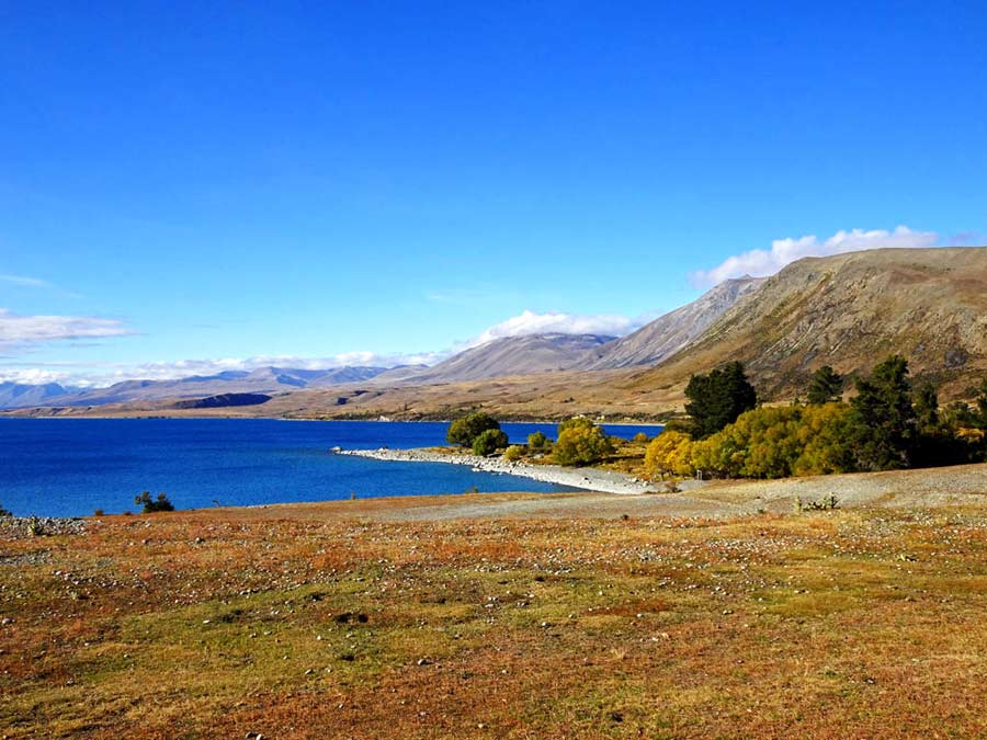 Ostufer Lake Tekapo, Neuseeland