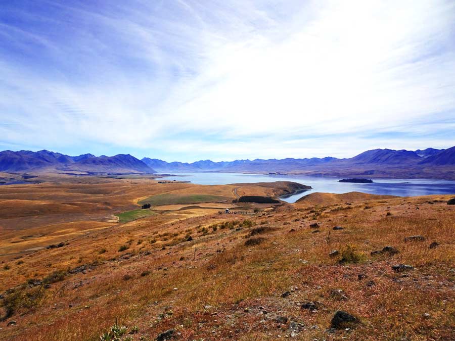 Neuseeland Highlights Südinsel: Lake Tekapo vom Mount John Observatory