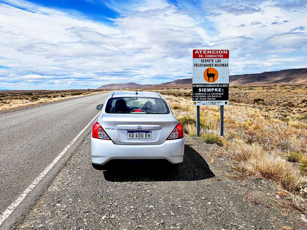 Patagonien Mietwagen Tipps El Calafate: Achtet auf die Guanakos und Nandus auf der Strasse und passt die Geschwindigkeit an