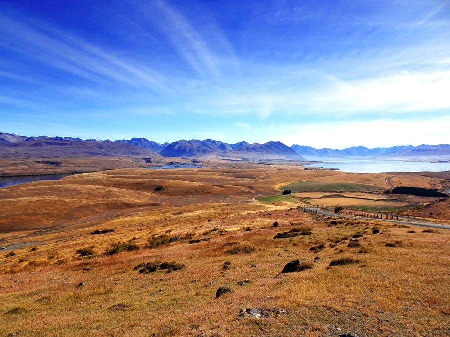 Lake Tekapo Sehenswürdigkeiten: Geteerte Strasse zum Mount John