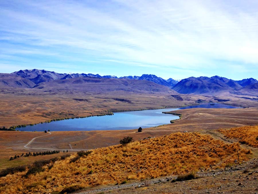 Lake Tekapo Sehenswürdigkeiten: Lake Alexandrina in Neuseeland