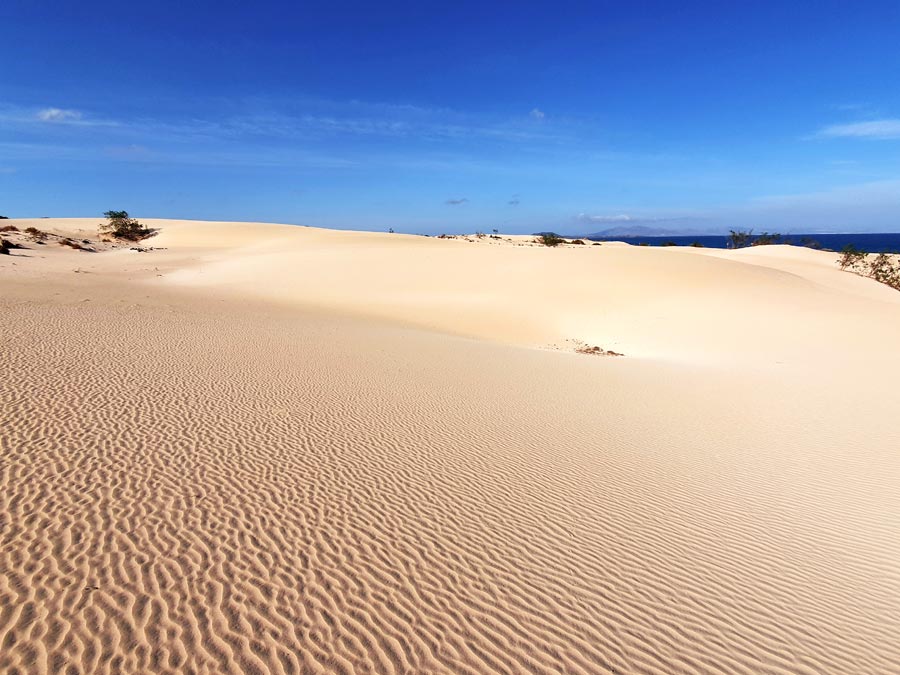 Fuerteventura wo übernachten: Sanddünen von Corralejo