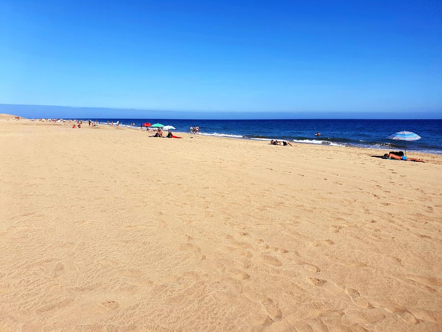 Gran Canaria Tipps Unterkunft: breiter Sandstrand Playa de Maspalomas hinter den berühmten Sanddünen auf Gran Canaria