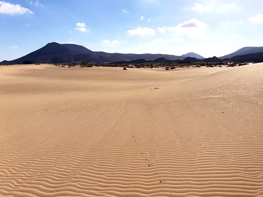 Fuerteventura Aktivitäten und Sehenswürdigkeiten - Tipps Aktivurlaub - was tun auf Fuerteventura: Besichtigt die weitläufigen Sanddünen von Corralejo