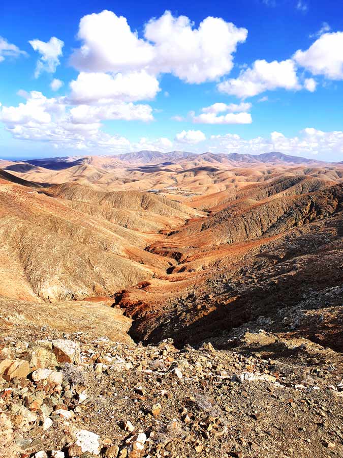 Fuerteventura Aktivitäten und Sehenswürdigkeiten - Tipps für Aktivurlaub: Schöner Aussichtspunkt mit den Ziegen im Zentrum von Fuerteventura