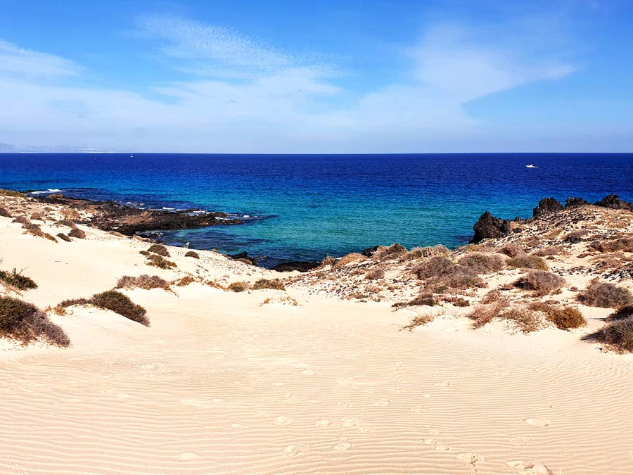 Fuerteventura Aktivitäten und Sehenswürdigkeiten - was tun auf Fuerteventura: Sanddünen von Corralejo treffen auf Türkis schimmerndes Meer