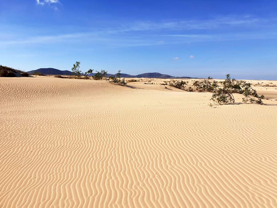 Fuerteventura Aktivitäten und Sehenswürdigkeiten - was tun auf Fuerteventura: Besichtigt die weitläufigen Sanddünen von Corralejo