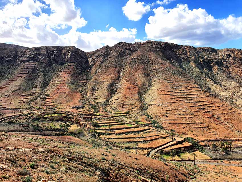 Fuerteventura Aussichtspunkte: Mirador de las Peñitas oberhalb des fruchtbaren Tals von Vega de Rio Palmas