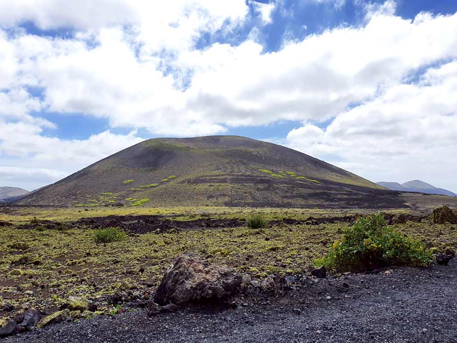 Lanzarote im Winter Erfahrungen Klima: Sogar die karge Vulkanlandschaft erblüht nach einigen Regenschauern auf Lanzarote im Winter