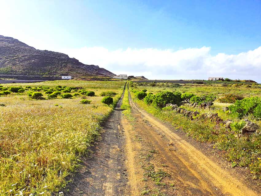 Lanzarote im Frühling beste Reisezeit: Der Norden von Lanzarote im März ist überraschend grün