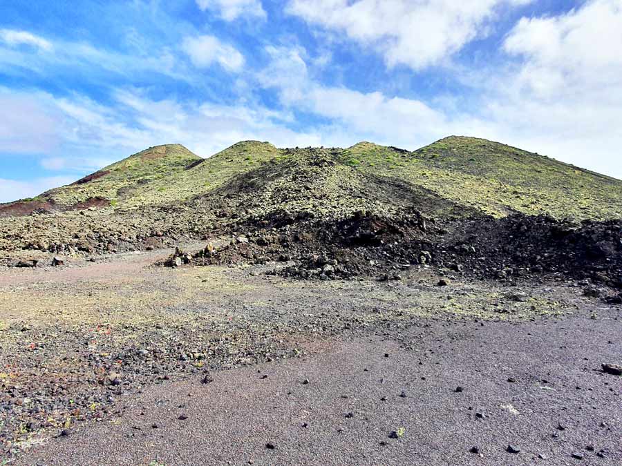 Lanzarote im Frühling beste Reisezeit: Dank der Sträucher leuchten einige Vulkane im Zentrum von Lanzarote im März grün. Das sorgt für tolle Kontraste in der überwiegend schwarzen Lavalandschaft.