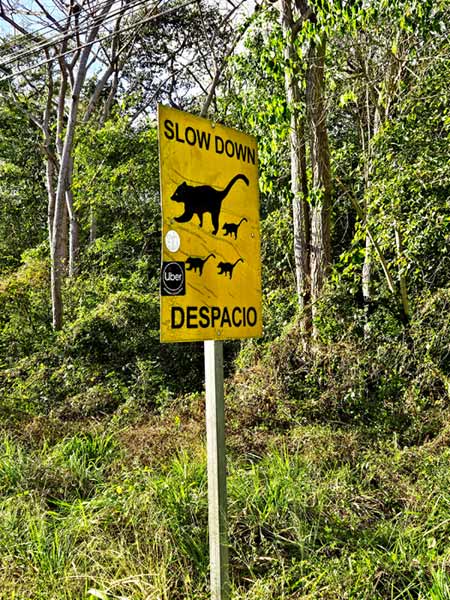 Costa Rica Auto fahren Erfahrungen & Tipps: Wie gefährlich sind die Strassen in Costa Rica wirklich?