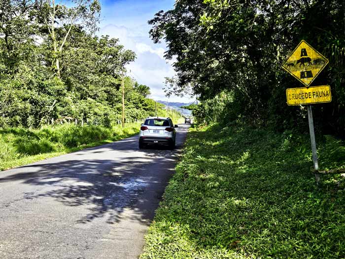Costa Rica Mietwagen Erfahrungen: Wir berichten von unseren persönlichen Erfahrungen mit Auto mieten in Costa Rica und geben wertvolle Mietwagen Tipps