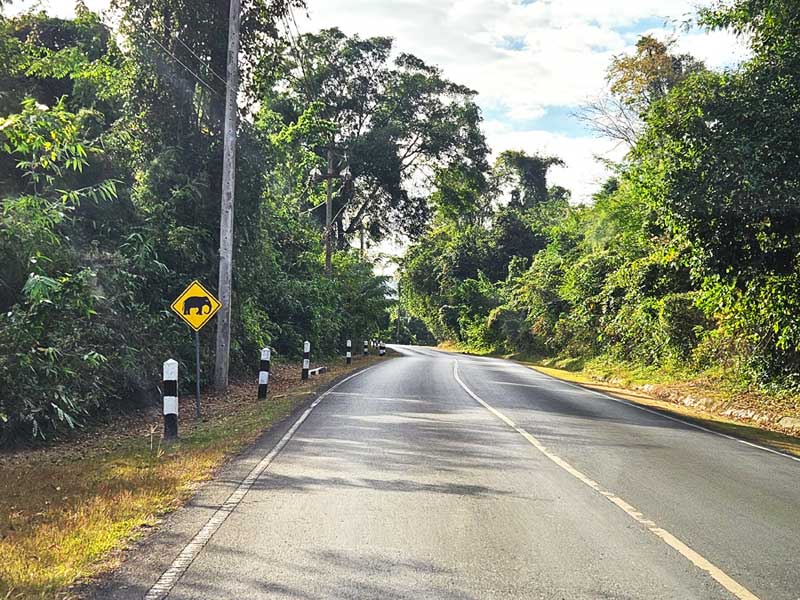 Autofahren Thailand Tipps: Gut ausgebaute Strasse mit Warnschild «Achtung Elefanten»